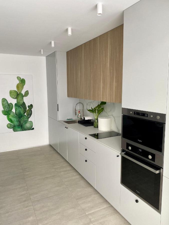 Caсtus Apartments 1 伊万诺-弗兰科夫斯克 外观 照片