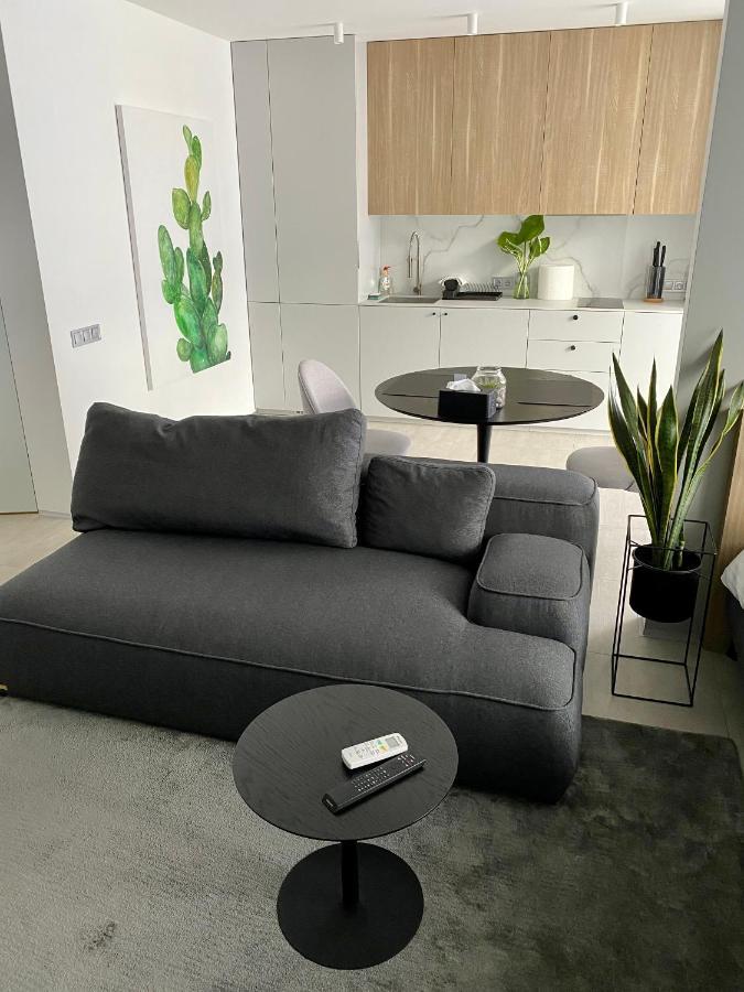Caсtus Apartments 1 伊万诺-弗兰科夫斯克 外观 照片